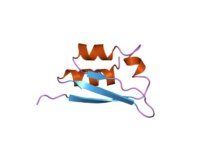 File:PDB 1vih EBI.jpg