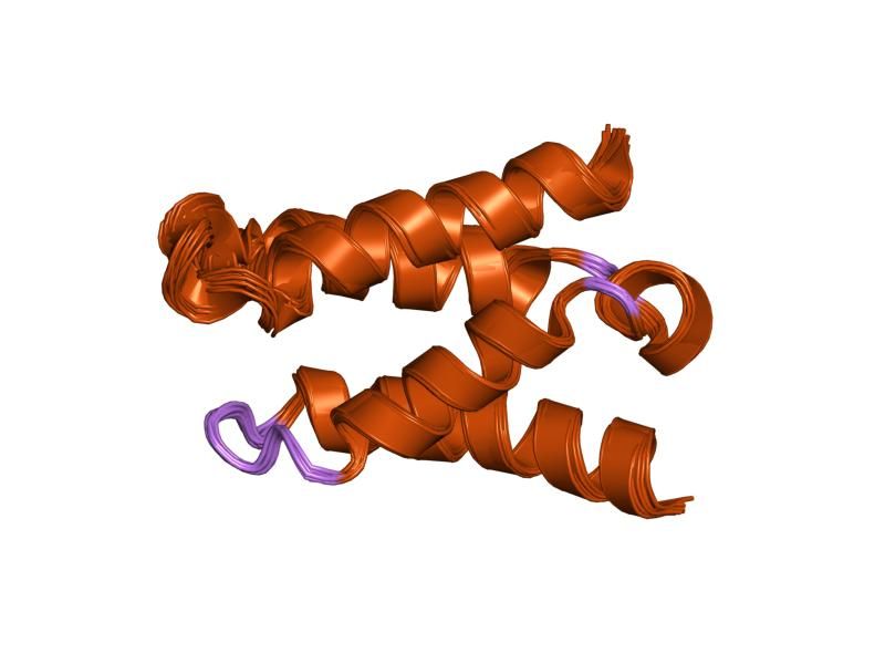 File:PDB 1z9e EBI.jpg