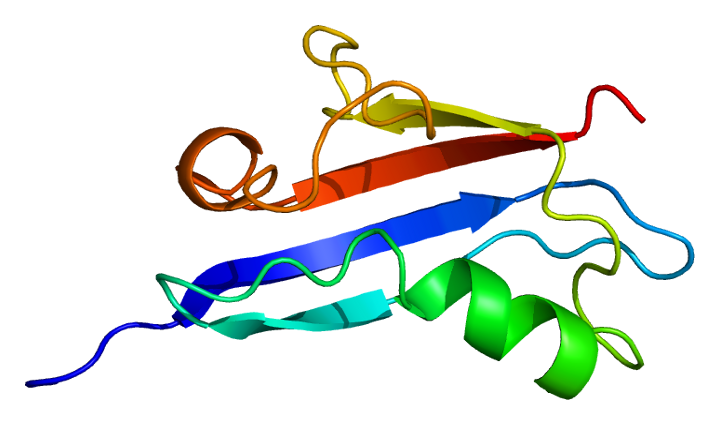 File:Protein RGL2 PDB 1rlf.png