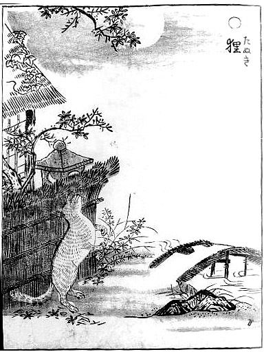 File:SekienTanuki.jpg