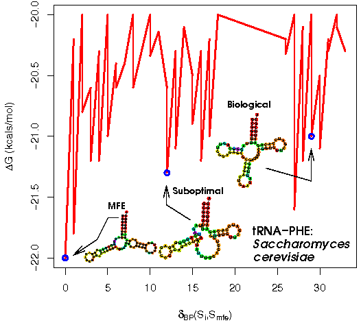 File:TRNA structure space.png