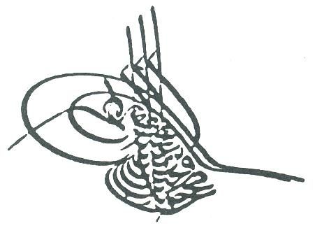 File:Tughra of Mehmed VI.JPG