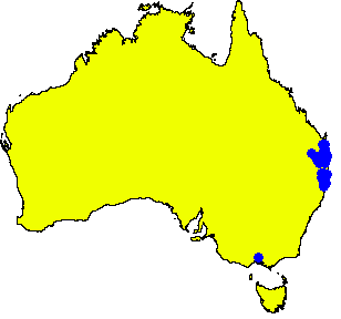 File:Angophora woodsiana DistMap.png