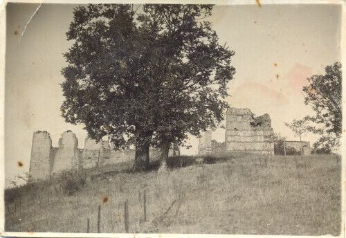 File:Burgajet castle tree.jpg