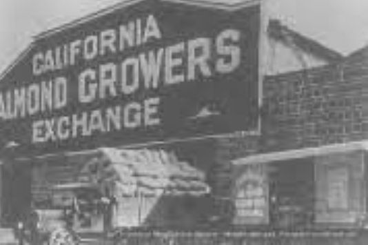 File:California Almond Growers Exchange 1915.jpg