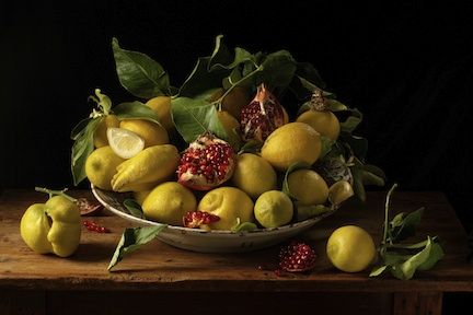 File:Lemons Pomegranates, After J.V.H..jpg