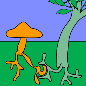 File:Mycorrhizal ecology icon.png