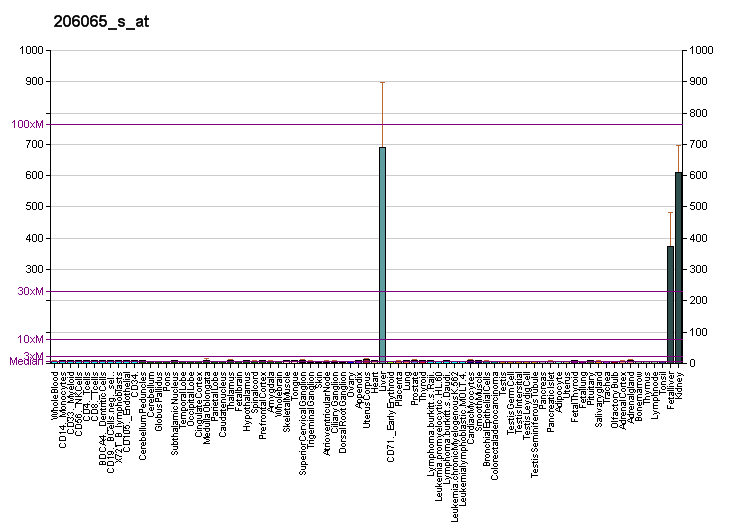 File:PBB GE DPYS 206065 s at fs.png