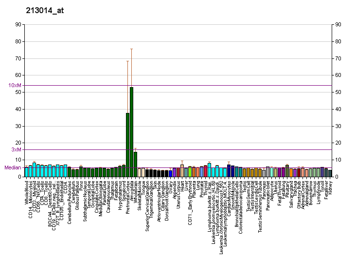 File:PBB GE MAPK8IP1 213014 at fs.png