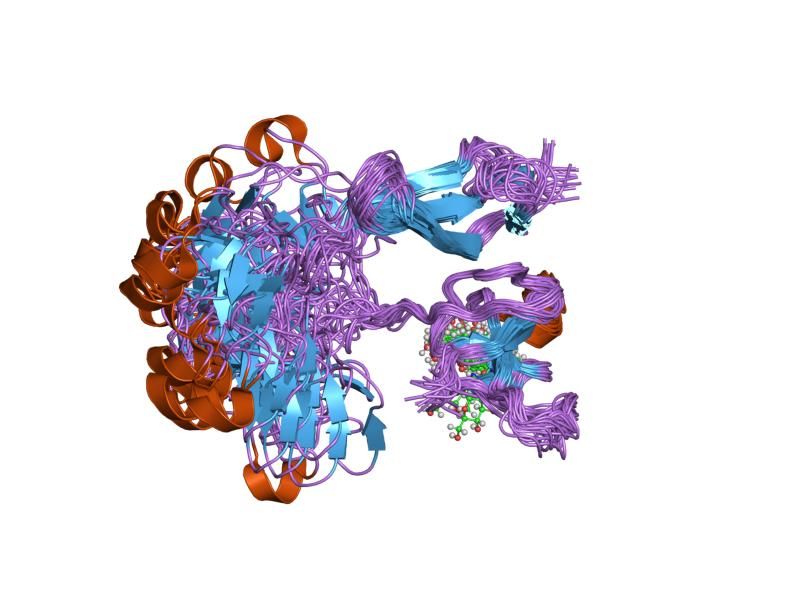 File:PDB 1e88 EBI.jpg