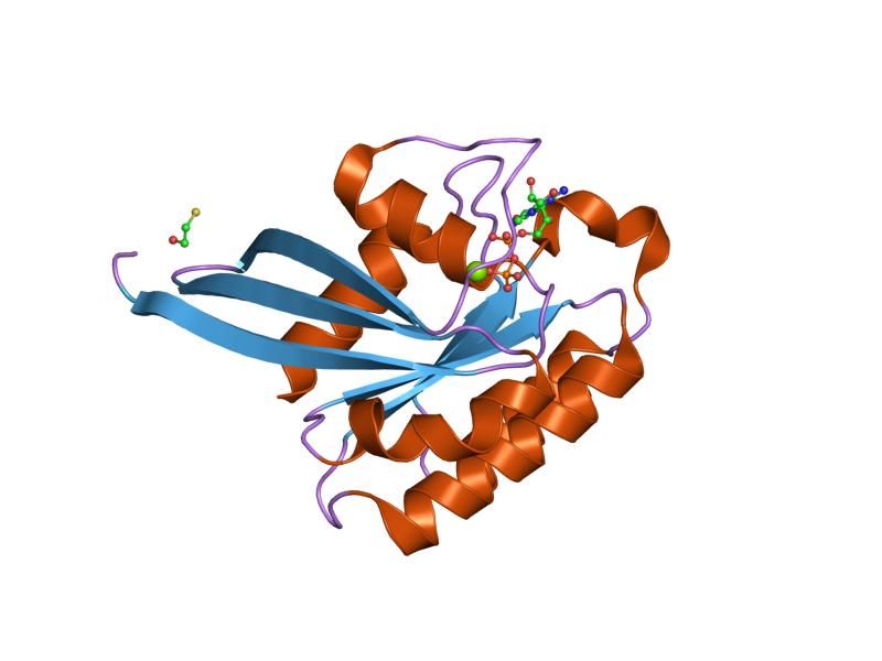 File:PDB 1n6i EBI.jpg