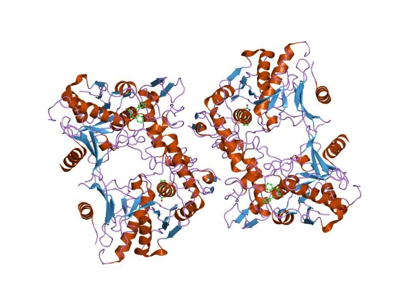 File:PDB 1pvj EBI.jpg