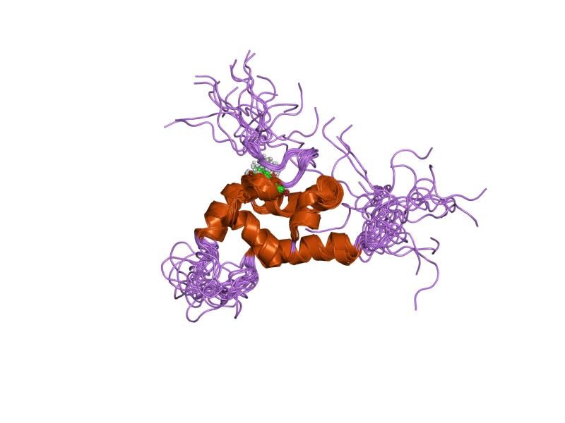 File:PDB 1t84 EBI.jpg