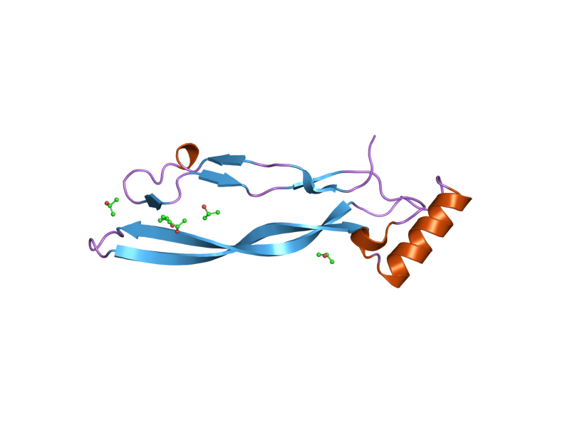 File:PDB 2bhk EBI.png