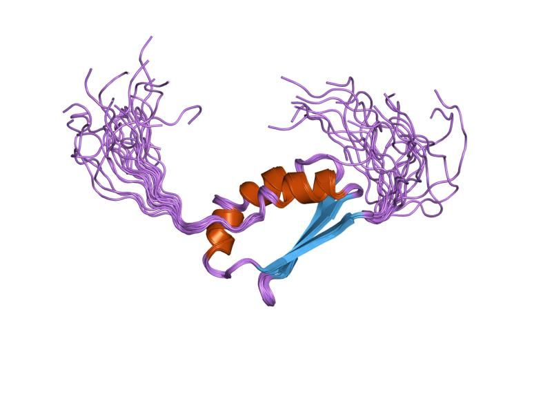 File:PDB 2cpq EBI.jpg