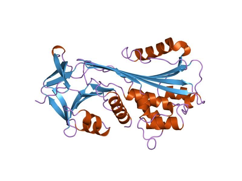 File:PDB 4caa EBI.jpg