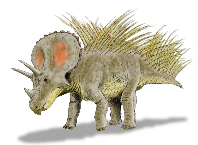 File:Triceratops new BW.jpg