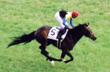 File:Deep Impact Japanese Derby.jpg