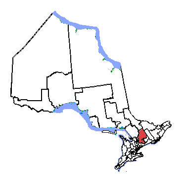 File:Haliburton-Kawartha Lakes-Brock.png