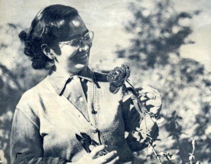 File:Jiang En-Dian looking at flower.jpg