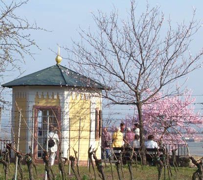 File:König-Ludwig-Pavillon Gimmeldingen.jpg