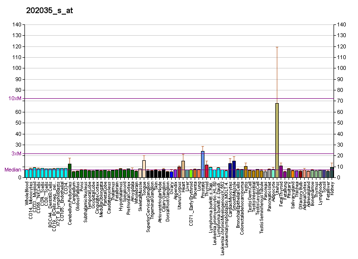 File:PBB GE SFRP1 202035 s at fs.png