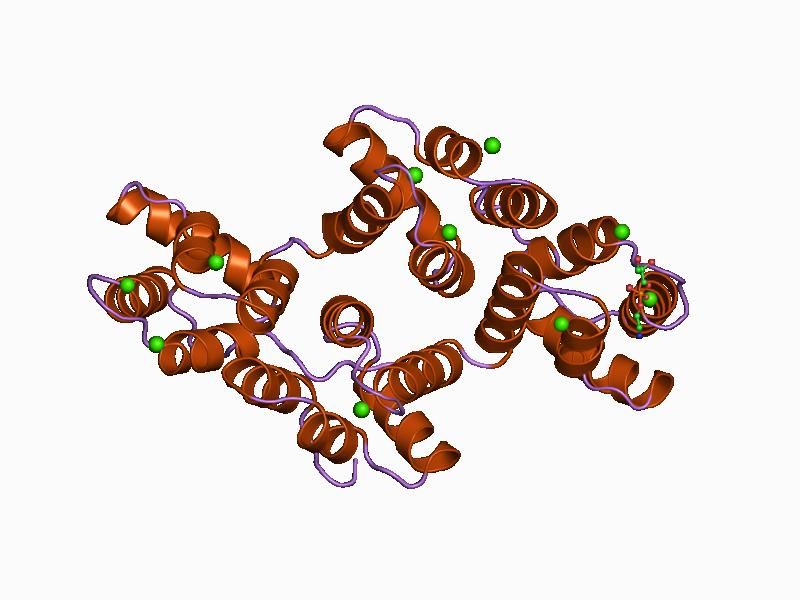 File:PDB 1a8b EBI.jpg