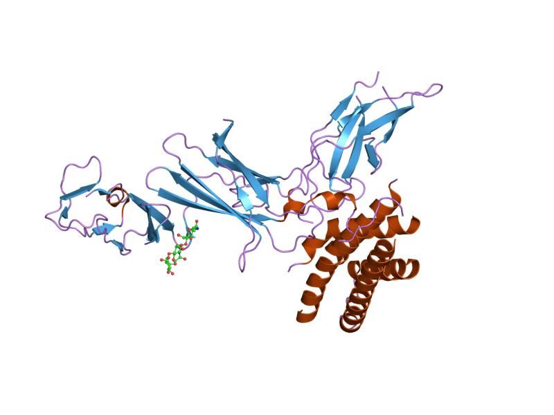 File:PDB 1f45 EBI.jpg