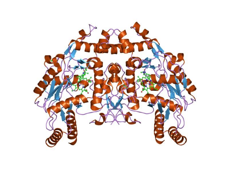 File:PDB 1m9q EBI.jpg