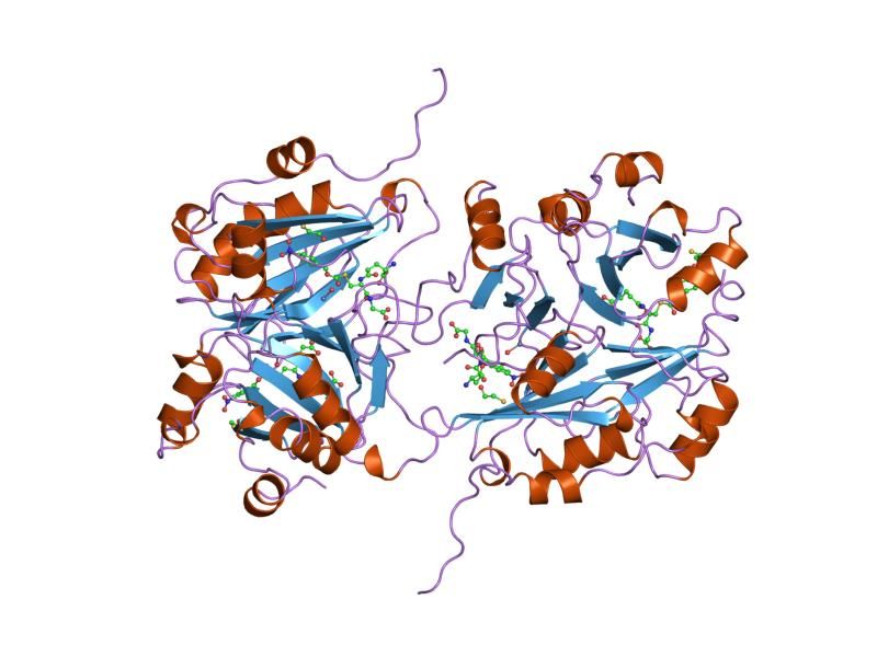 File:PDB 1qip EBI.jpg