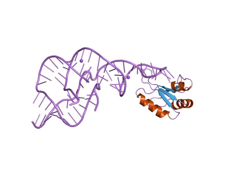 File:PDB 1vc5 EBI.jpg