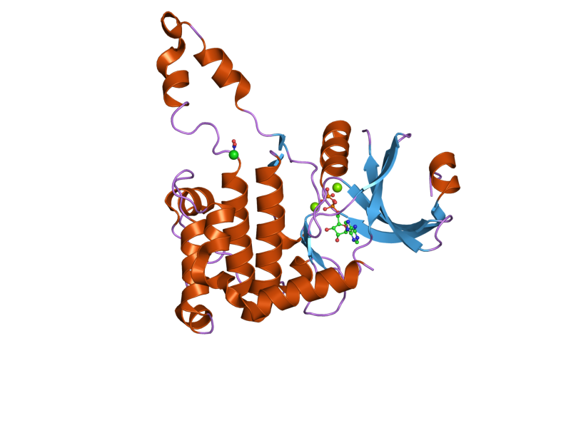 File:PDB 2cn5 EBI.png