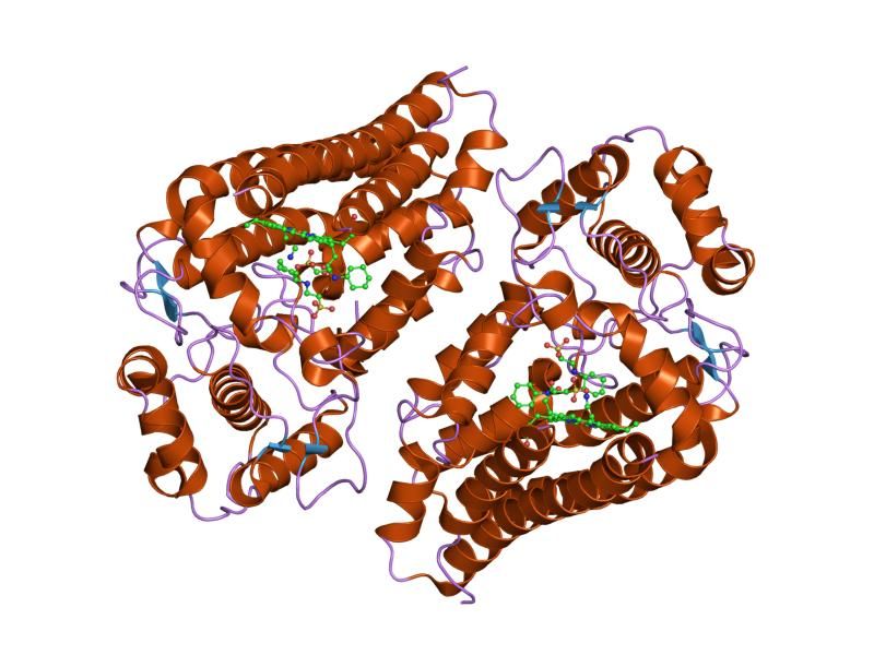 File:PDB 2d0u EBI.jpg