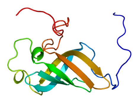 File:Protein ZCCHC17 PDB 2cqo.png