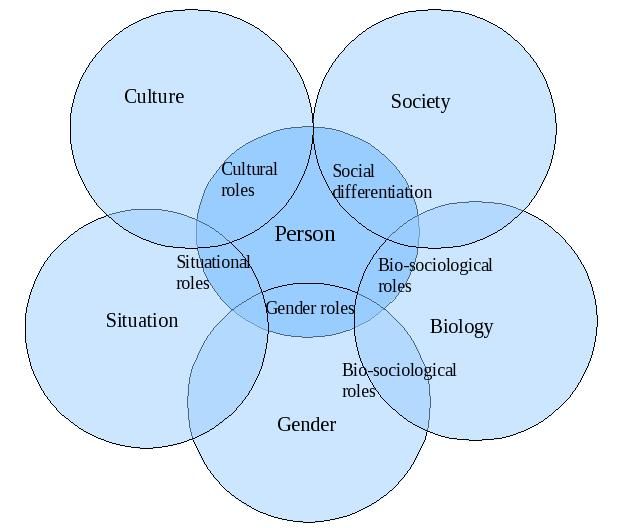 File:Social Roles.jpg