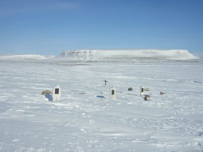 File:BeecheyIsland Graves.jpg