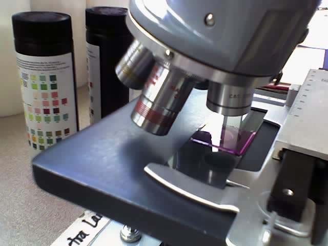 File:Microscope with stained slide.jpg