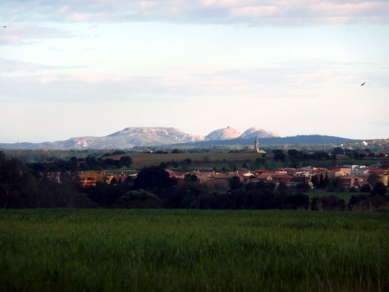 File:Montgrí i Borrassà.jpg