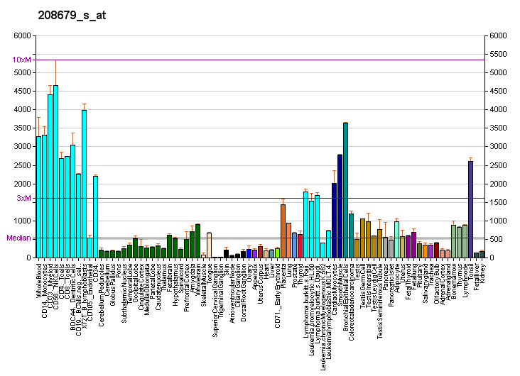 File:PBB GE ARPC2 208679 s at fs.png