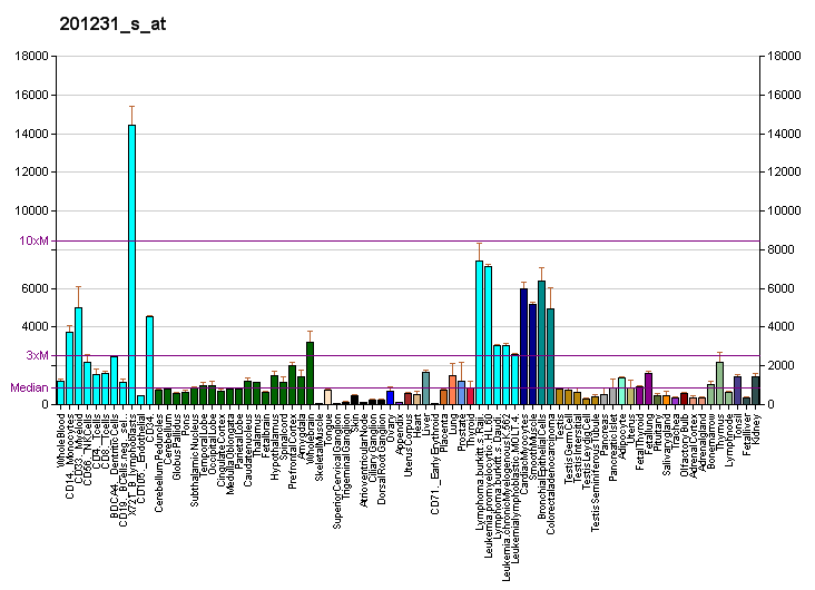 File:PBB GE ENO1 201231 s at fs.png