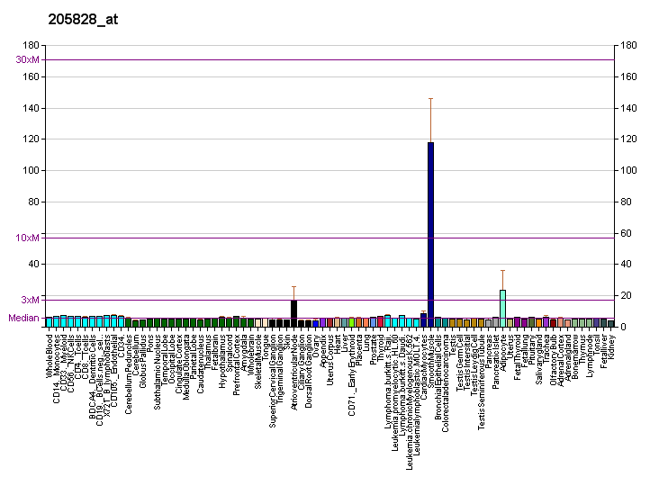 File:PBB GE MMP3 205828 at fs.png