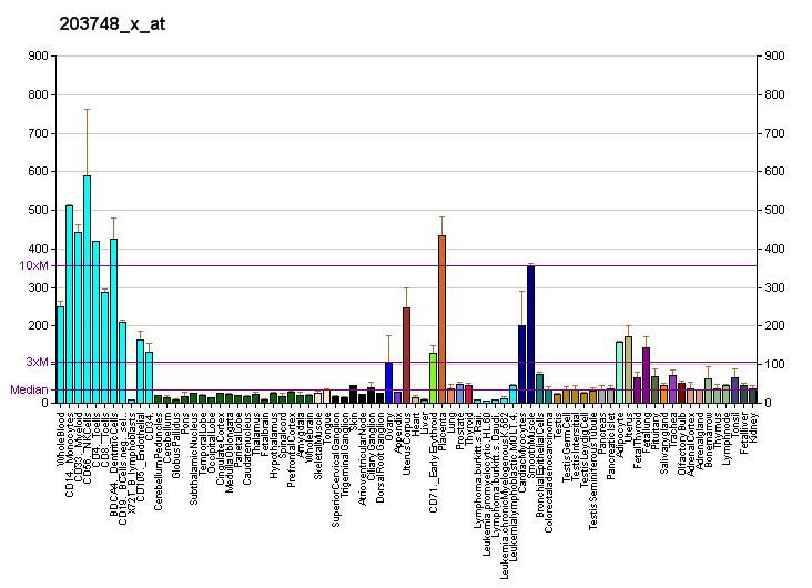 File:PBB GE RBMS1 203748 x at fs.png