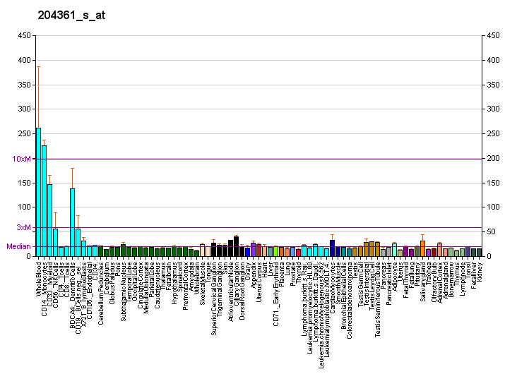 File:PBB GE SKAP2 204361 s at fs.png