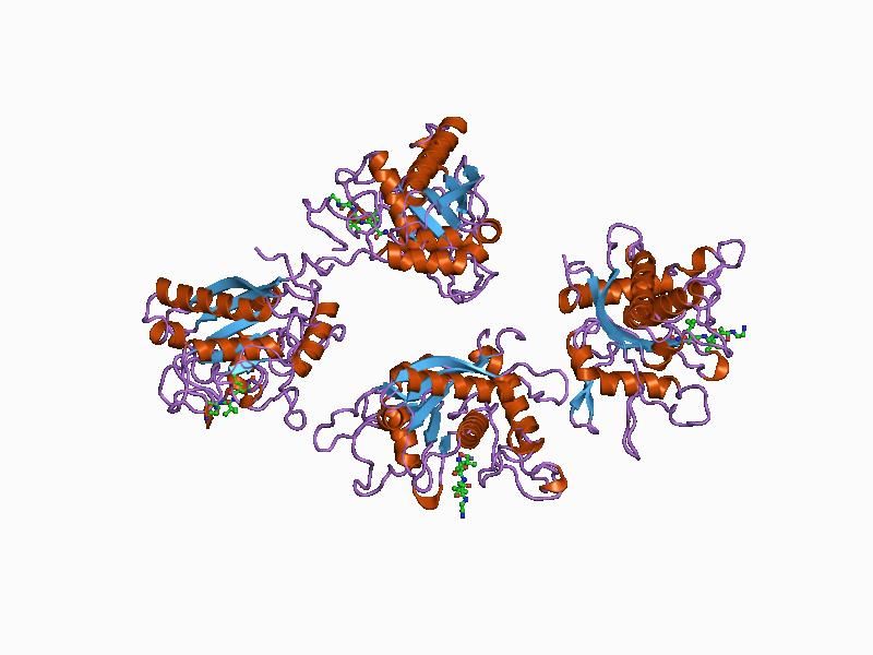 File:PDB 1bkc EBI.jpg