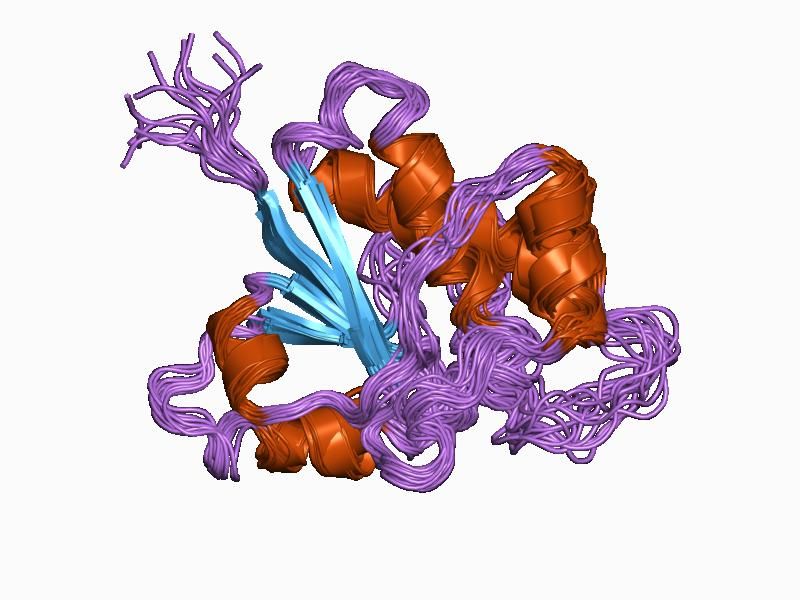 File:PDB 1bvh EBI.jpg