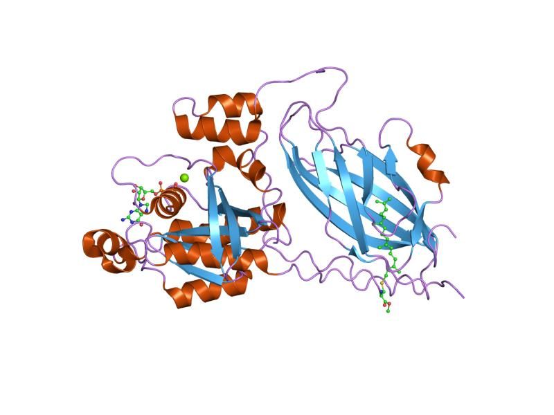 File:PDB 1doa EBI.jpg