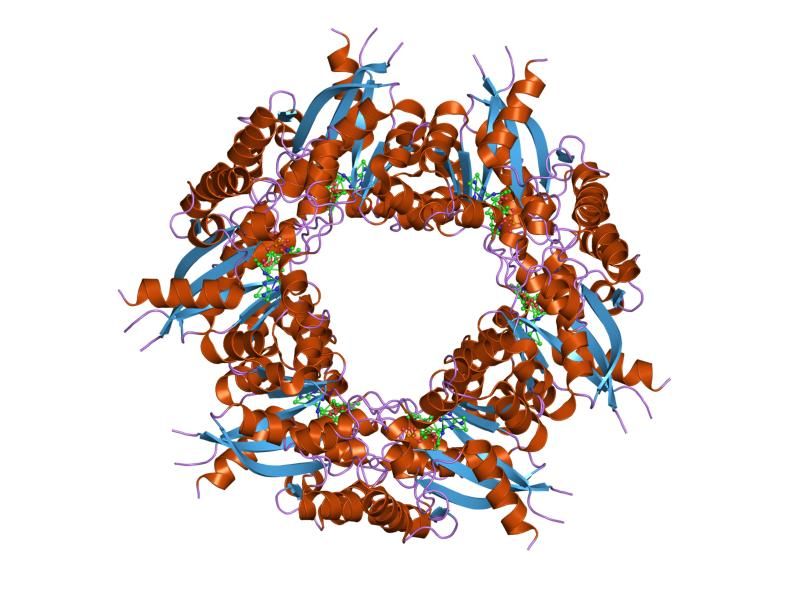 File:PDB 1kqo EBI.jpg