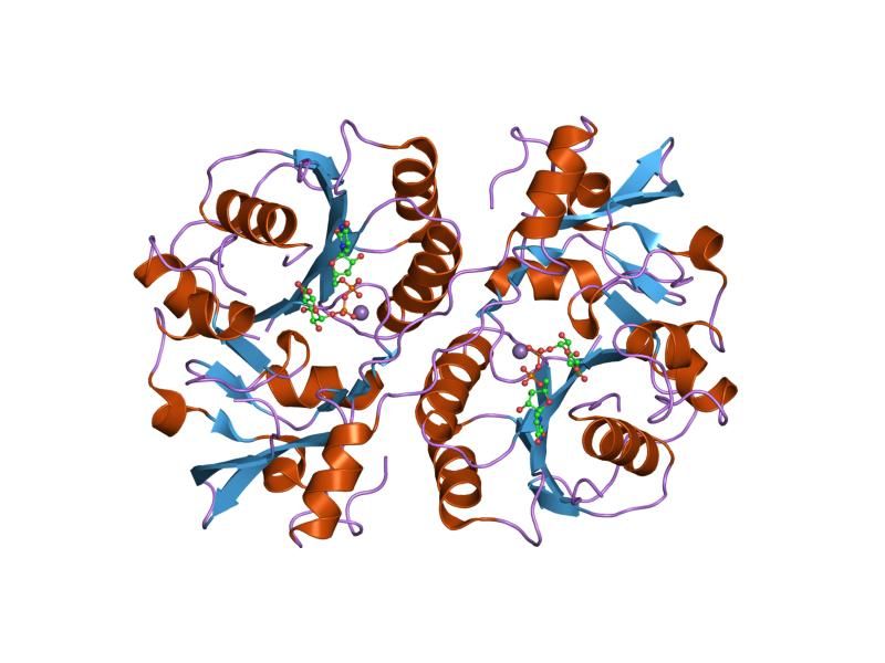 File:PDB 1kws EBI.jpg