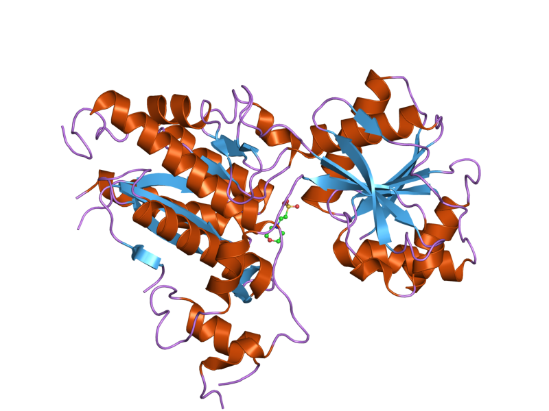 File:PDB 2e4z EBI.png