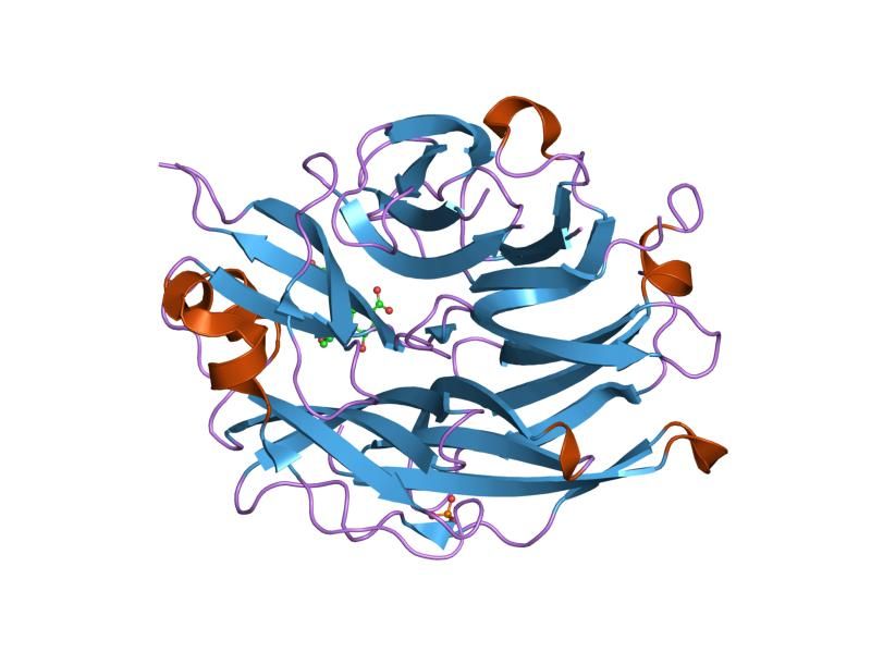 File:PDB 2f12 EBI.jpg